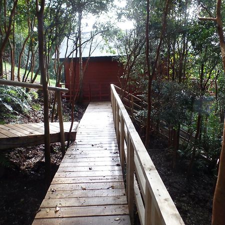 Parque Natural Rio Bravo Lodge Castro Eksteriør billede