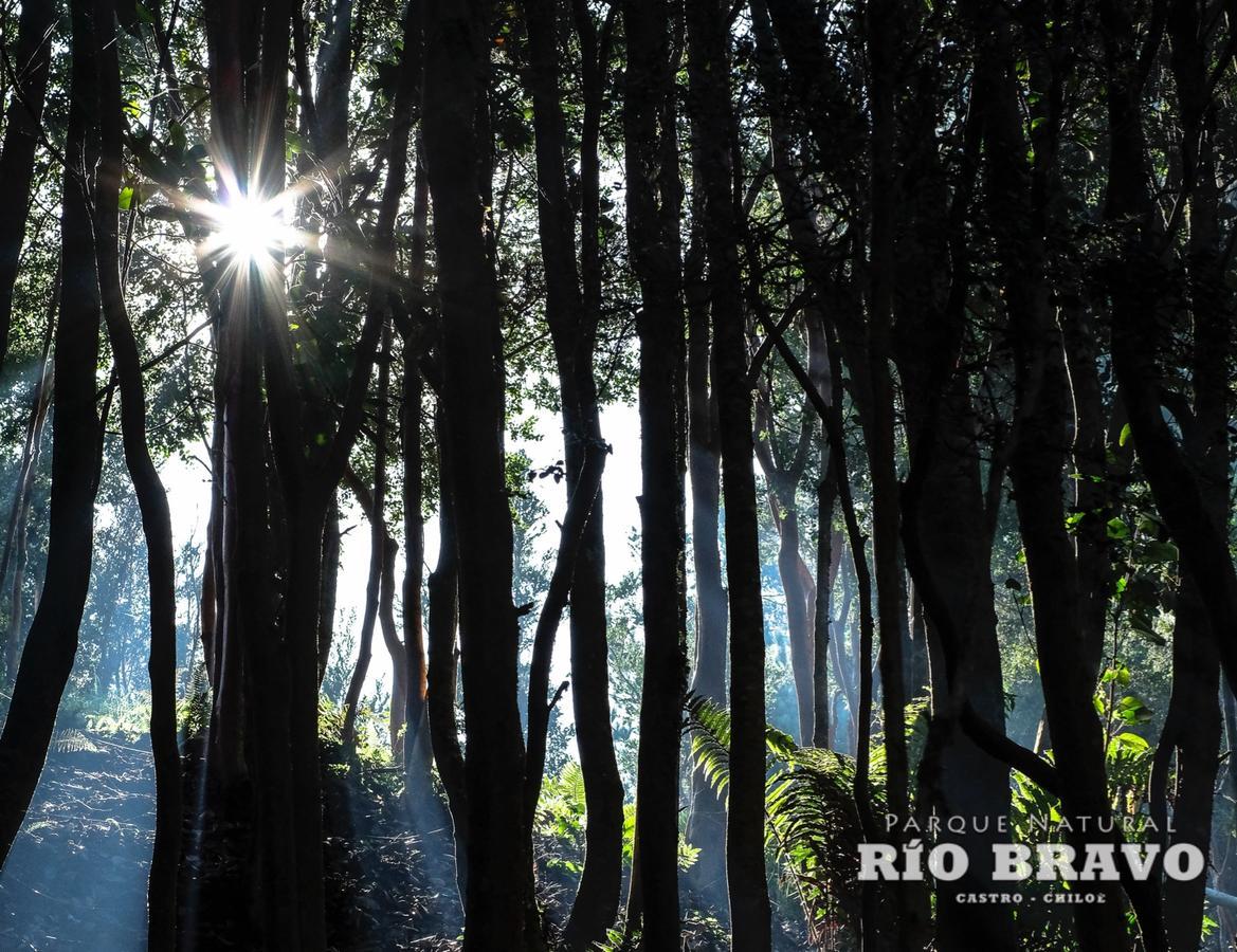 Parque Natural Rio Bravo Lodge Castro Eksteriør billede