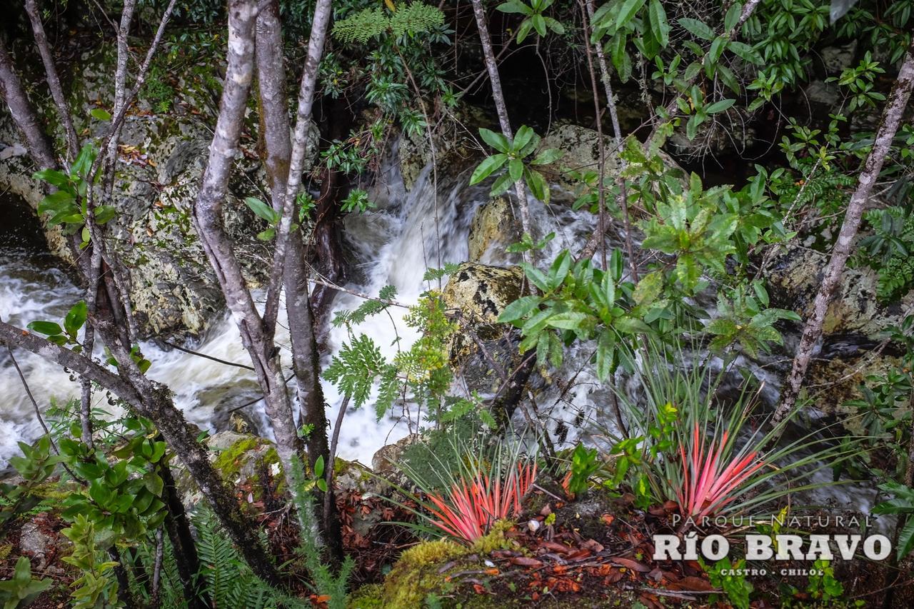 Parque Natural Rio Bravo Lodge Castro Eksteriør billede