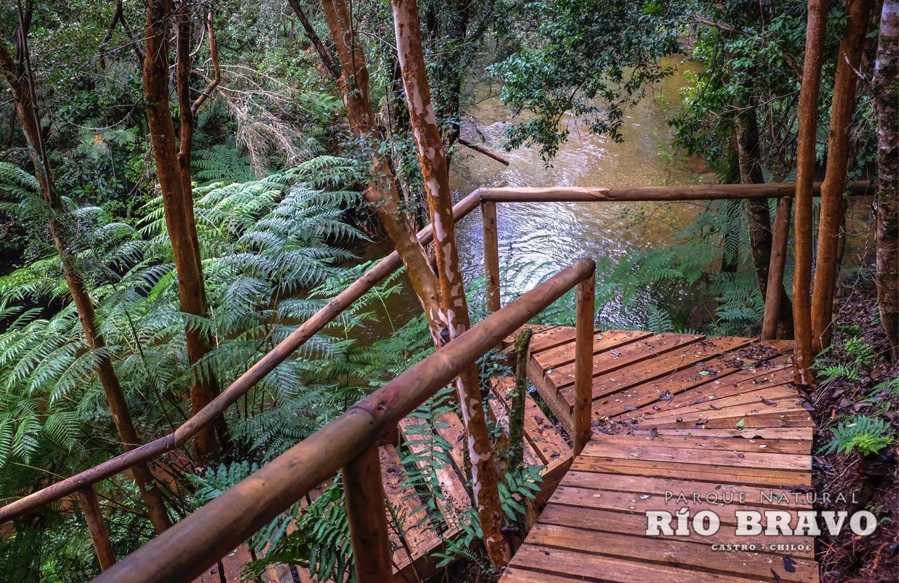 Parque Natural Rio Bravo Lodge Castro Eksteriør billede